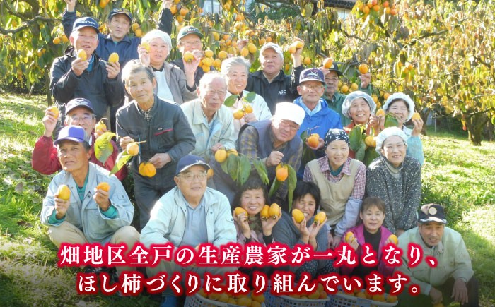 干し柿 干柿 西条柿 ドライフルーツ 果物 高級 おすすめ 人気 ギフト お歳暮 贈り物 プレゼント