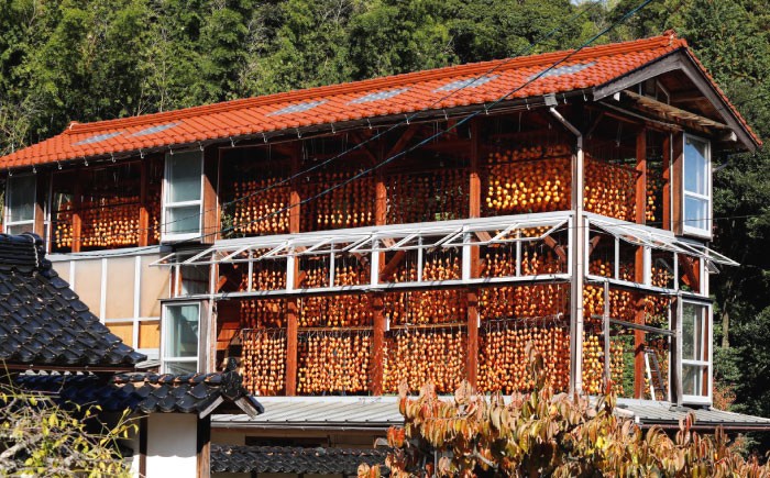 干し柿 干柿 西条柿 ドライフルーツ 果物 高級 おすすめ 人気 ギフト お歳暮 贈り物 プレゼント