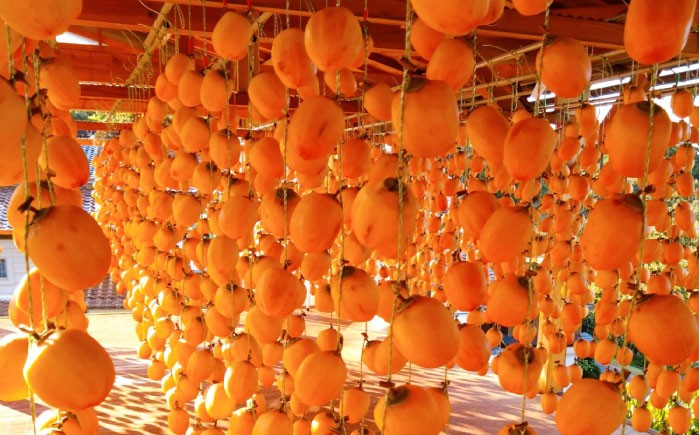 干し柿 干柿 西条柿 ドライフルーツ 果物 高級 おすすめ 人気 ギフト お歳暮 贈り物 プレゼント