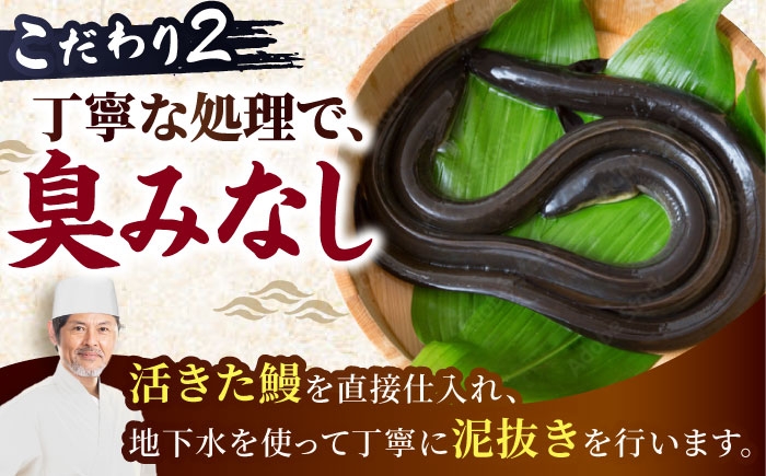 うなぎ 鰻 ウナギ 国産 三河一色 白焼き 白焼 白やき 厳選 料亭 お取り寄せ うな重 ひつまぶし