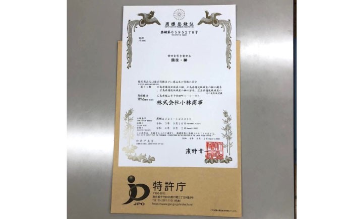 商標登録済みの国産本榊「備後・榊」 植物 本榊 さかき 榊 切り枝 枝木 神棚 