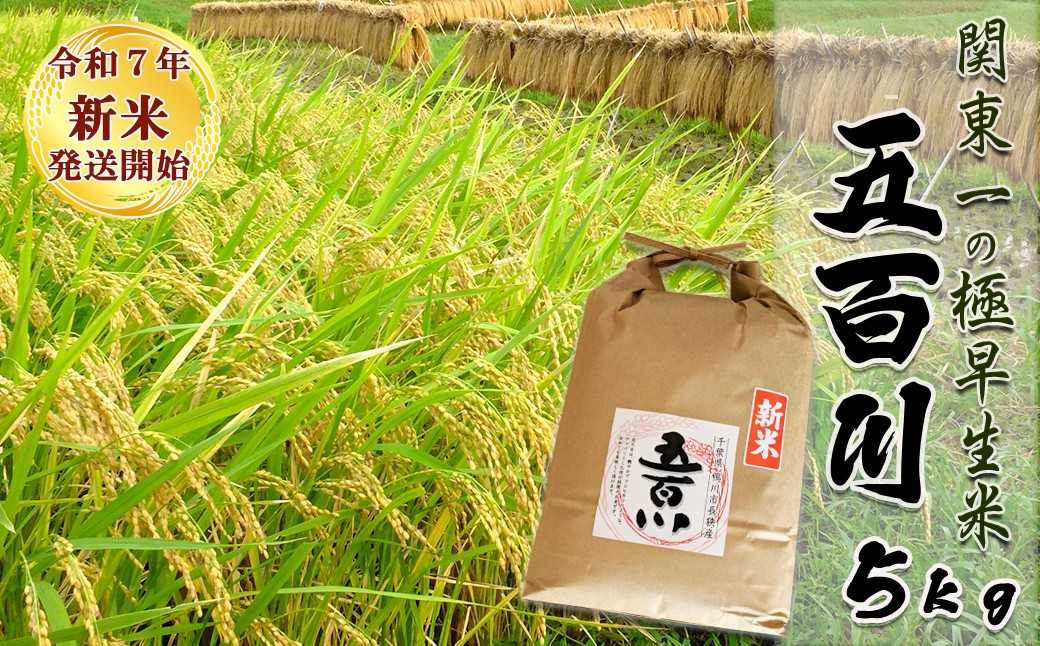 お米のソムリエ「米・食味鑑定士」が厳選！関東一の極早生米『五百川』