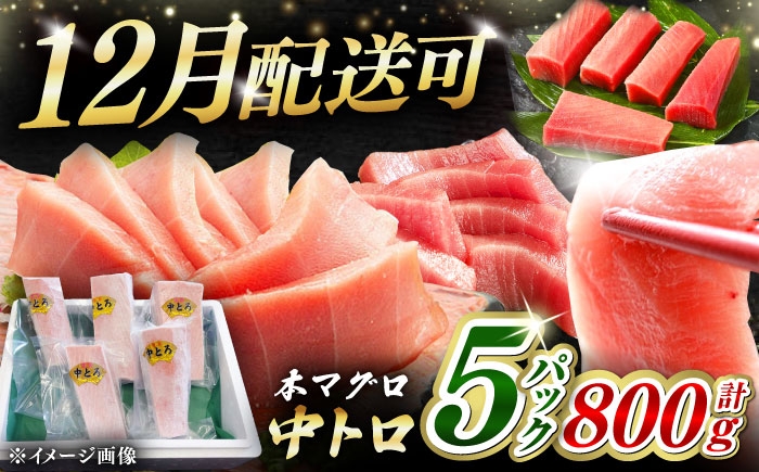 冷凍 マグロ まぐろ 中トロ 中とろ 鮪 本マグロ 赤身 ねぎとろ ネギトロ たたき トロ 刺身 海鮮 海産物 魚 柵