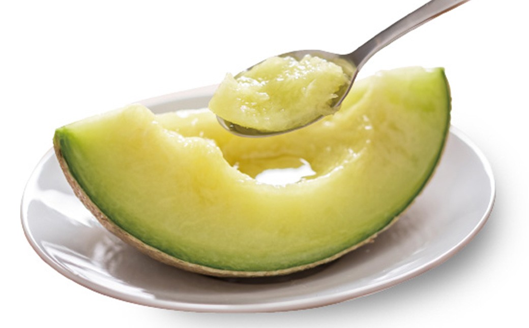 【11ヶ月定期便】訳あり静岡県産アローマメロン 1玉（1玉 約1.0kg以上）