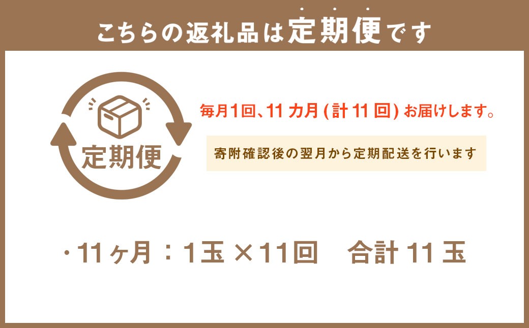 【11ヶ月定期便】訳あり静岡県産アローマメロン 1玉（1玉 約1.0kg以上）