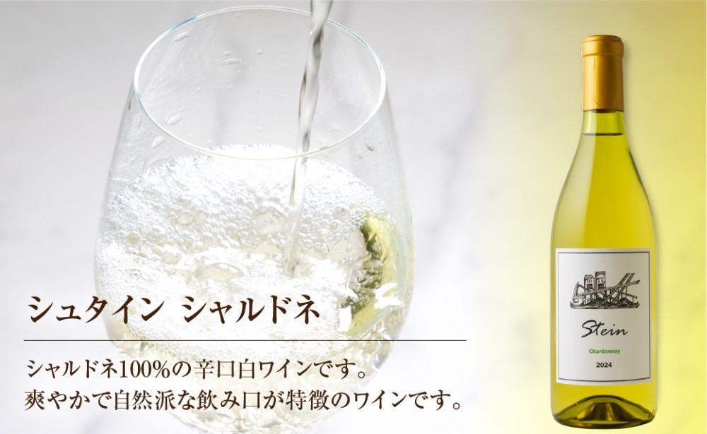シュタイン シャルドネ　スパークリング（750ｍｌ）2022年