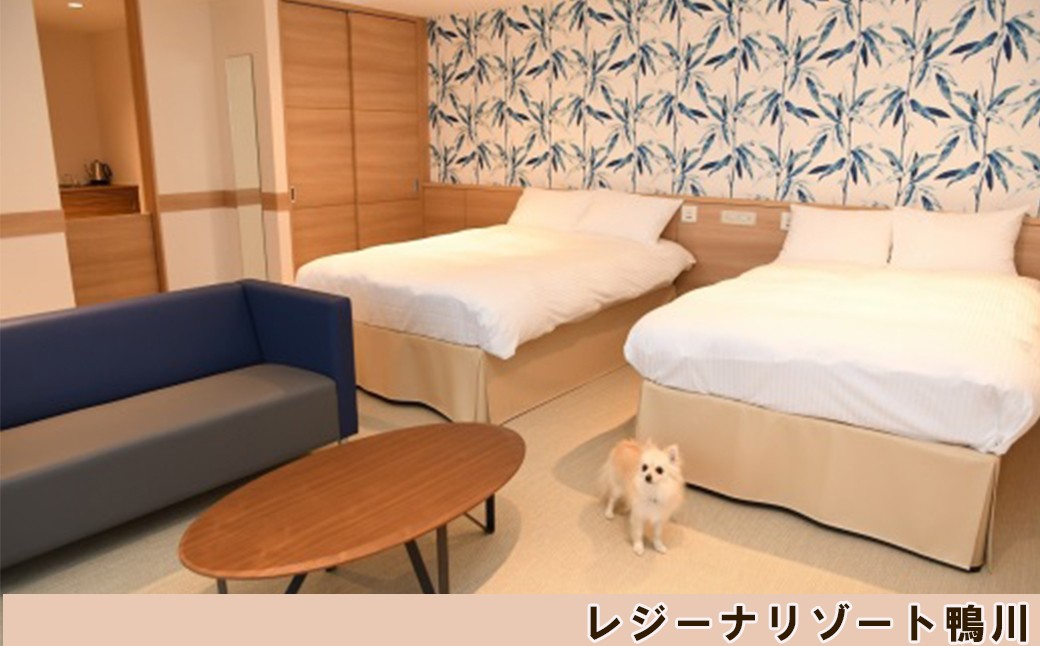 動物の専門教育を受けたスタッフが常駐し、愛犬と一緒に気兼ねなくおくつろぎいただける設備やサービスが人気です。