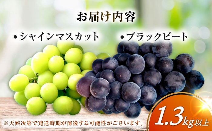 果物 シャインマスカット マスカット ぶどう ブラックビート 大粒 しゃいんますかっと 葡萄