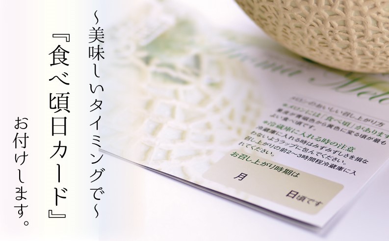 【11ヶ月定期便】訳あり静岡県産アローマメロン 1玉（1玉 約1.0kg以上）