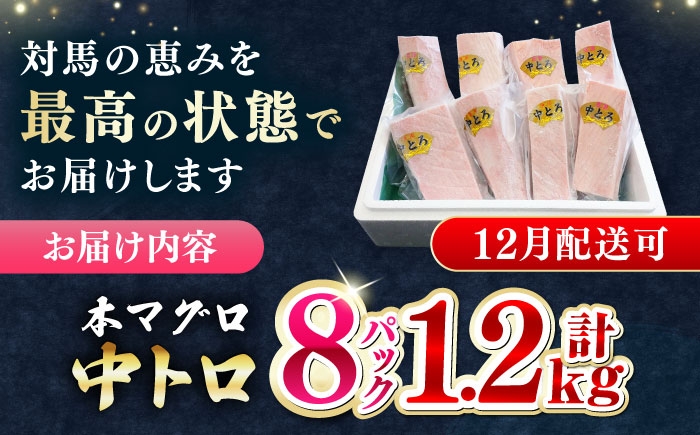 冷凍 新鮮 直送 マグロ 鮪 まぐろ 本鮪 中トロ 中とろ 魚 小分け 海鮮 柵 刺し身 刺身 海鮮丼 鮮魚 寿司 とろ