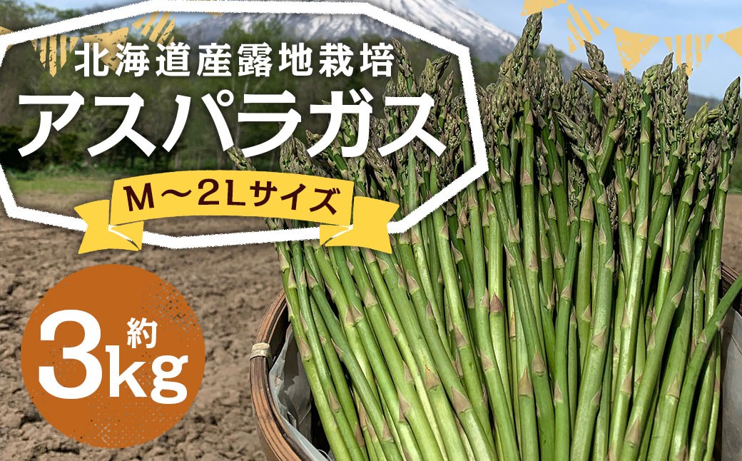 北海道産露地栽培アスパラガス M～2L 約3kg