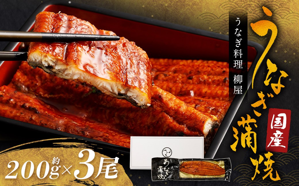 「うなぎ料理 柳屋」 国産 うなぎ 蒲焼 200g×3尾