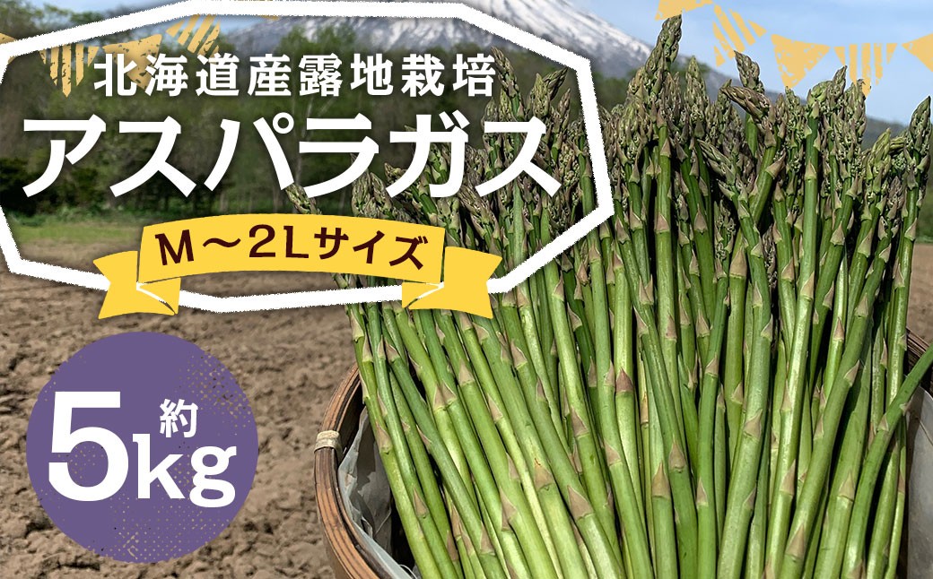 北海道産露地栽培アスパラガス M～2L 約5kg