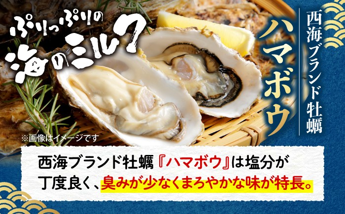 真牡蠣 魚介 新鮮 産地直送 3kg 牡蠣真牡蠣 魚介 新鮮 産地直送 3kg 牡蠣