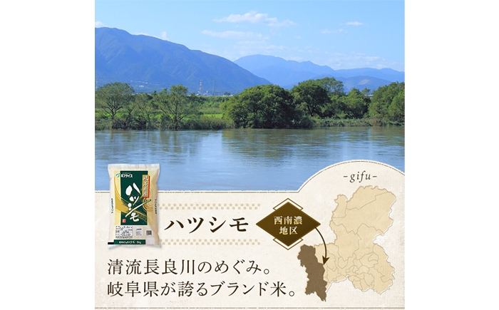 米 お米 こめ コメ ブランド米 精米 ご飯 ごはん 国産 弁当 おにぎり