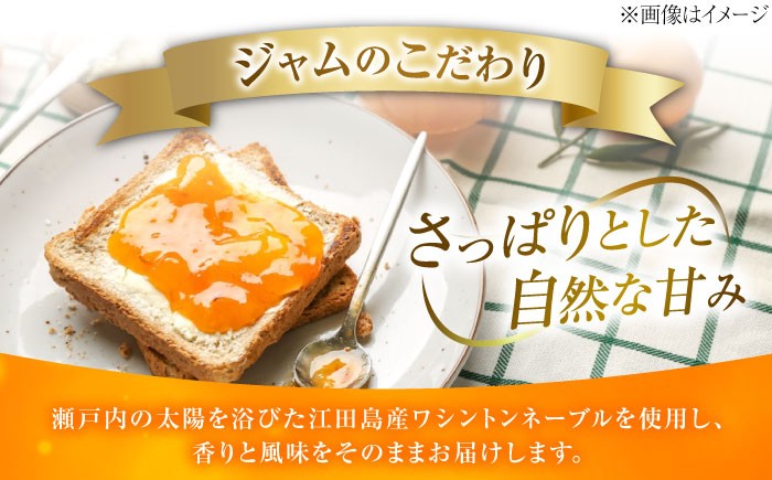 みかん ミカン マーマレード ママレード ジャム じゃむ 瓶 手作り 無添加