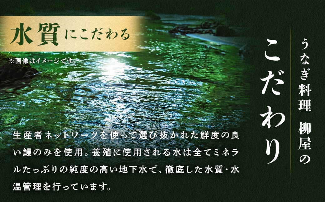 「うなぎ料理 柳屋」 国産 うなぎ 蒲焼 200g×3尾