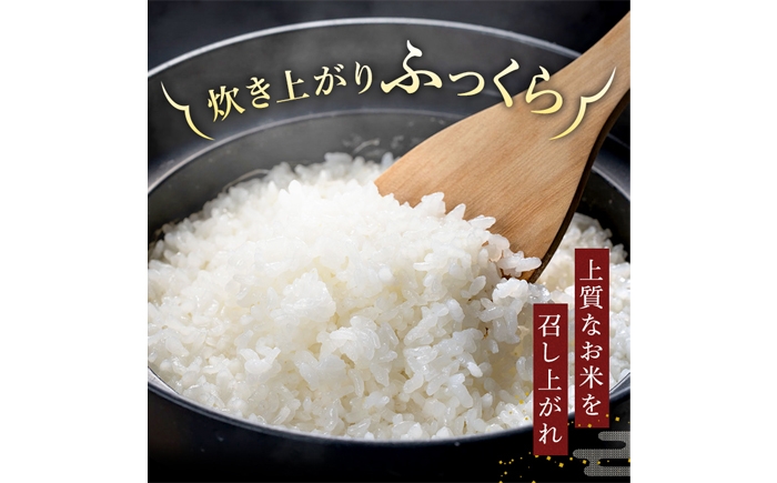 米 お米 こめ コメ ブランド米 精米 ご飯 ごはん 国産 弁当 おにぎり