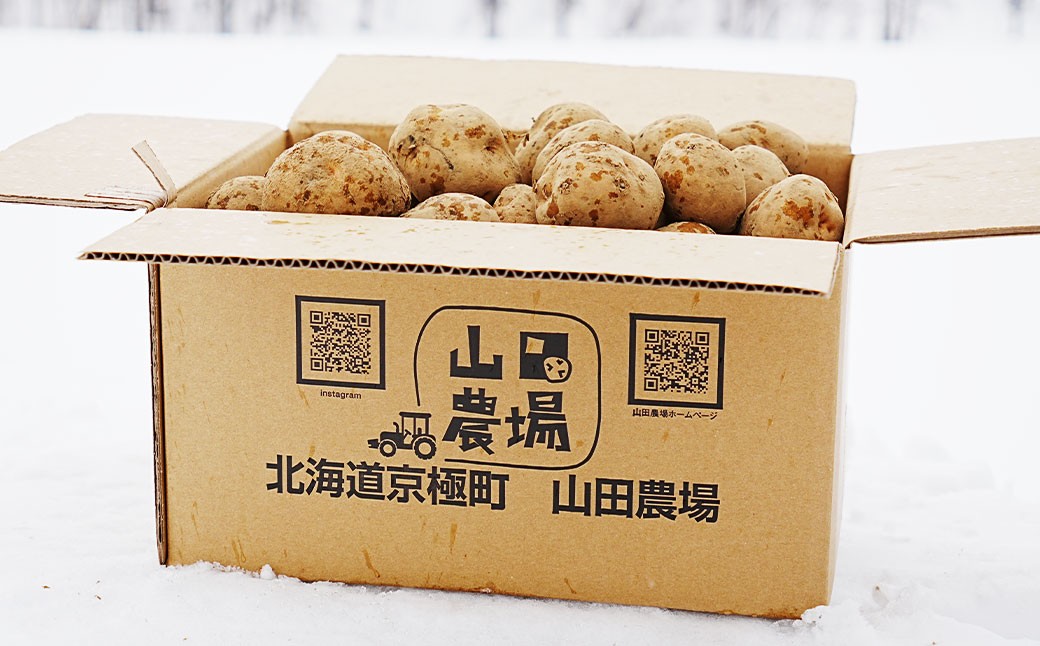 【訳あり】北海道産じゃがいも （キタアカリ） 約3kg 山田農場