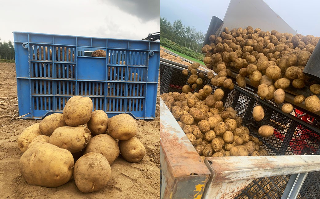 北海道産じゃがいも（男爵） 約3kg 山田農場
