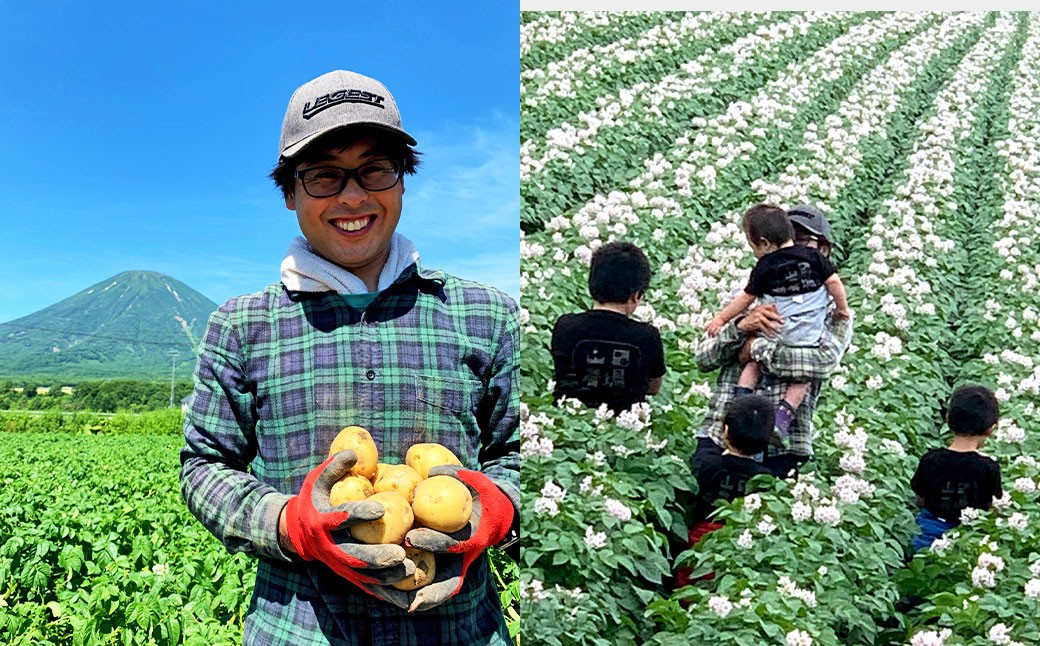 【訳あり】北海道産じゃがいも（男爵） 約3kg 山田農場