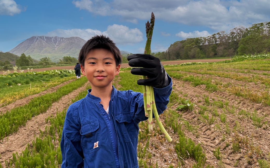 北海道産露地栽培アスパラガス M～2L 約3kg
