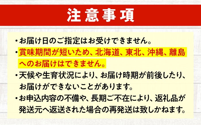 愛菜連のおまかせ野菜パック