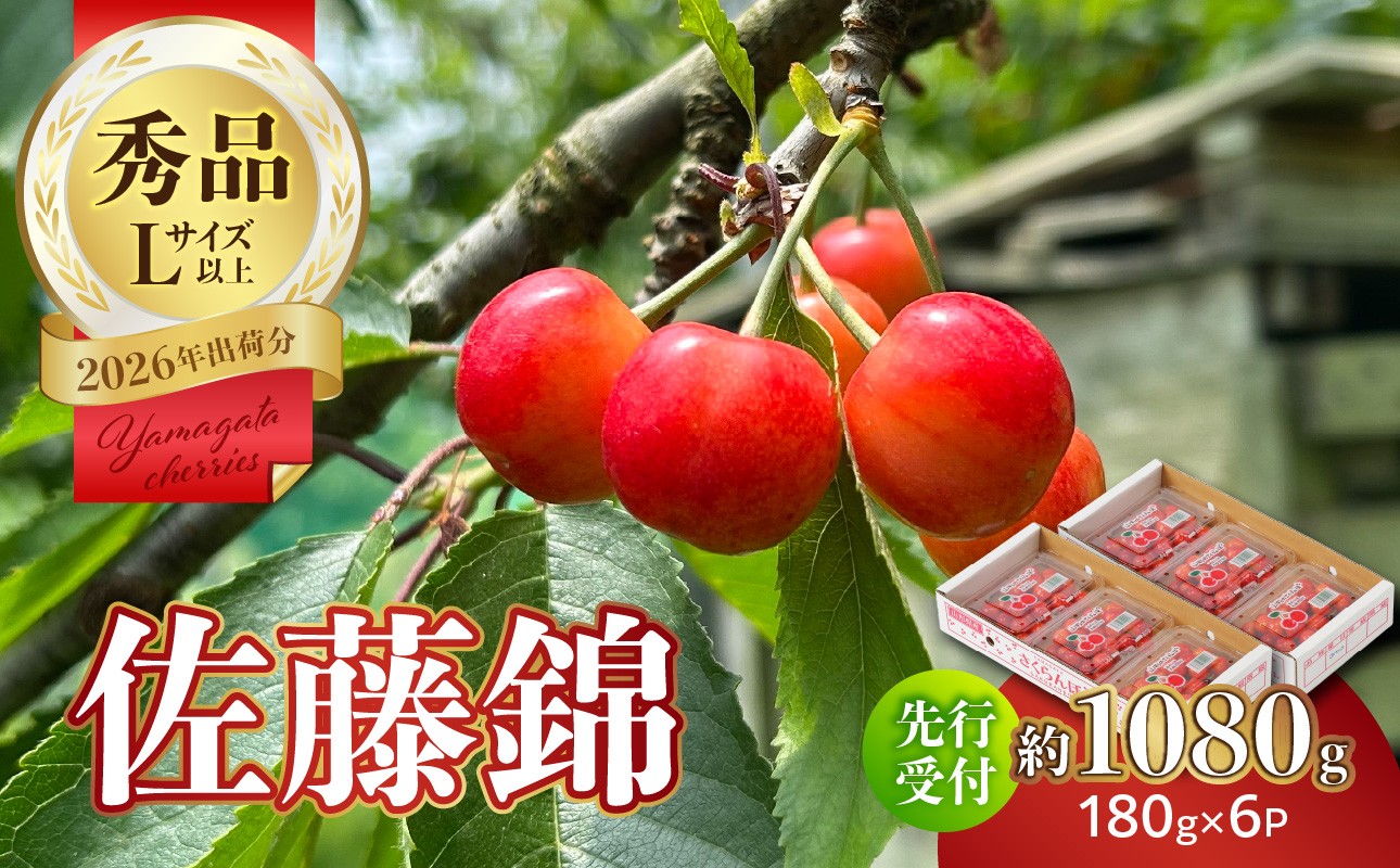 【2026年度先行受付】★さくらんぼ佐藤錦★約1080g 秀品 【6月より順次発送予定】