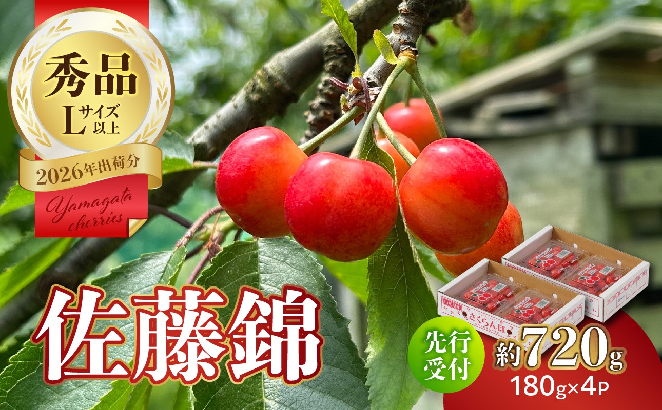 【2026年度先行受付】★さくらんぼ佐藤錦★約720g 秀品 【6月より順次発送予定】