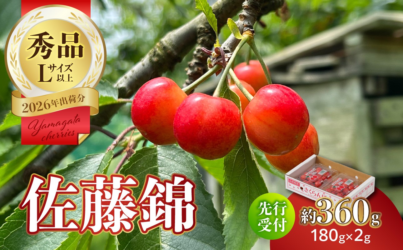 【2026年度先行受付】★さくらんぼ佐藤錦★約360g 秀品 【6月より順次発送予定】