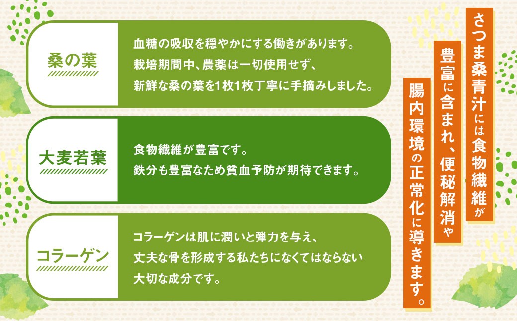 【贈答用】 さつま桑青汁 20本 (10本×2箱) 飲みやすい 青汁 大麦若葉 粉末