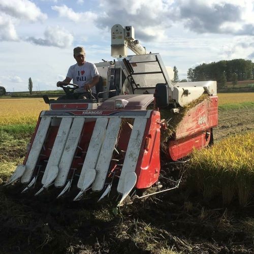 A165 【令和7年産】 ゆめぴりか ななつぼし （ 玄米 ） 各5kg