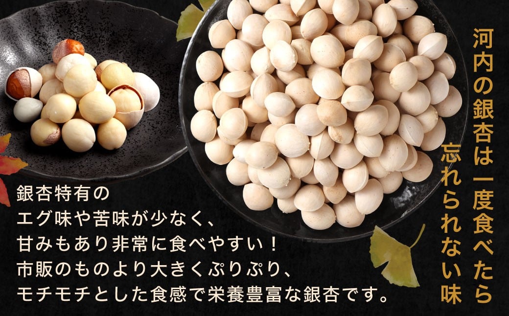 【冷凍】 北九州河内の銀杏 200g