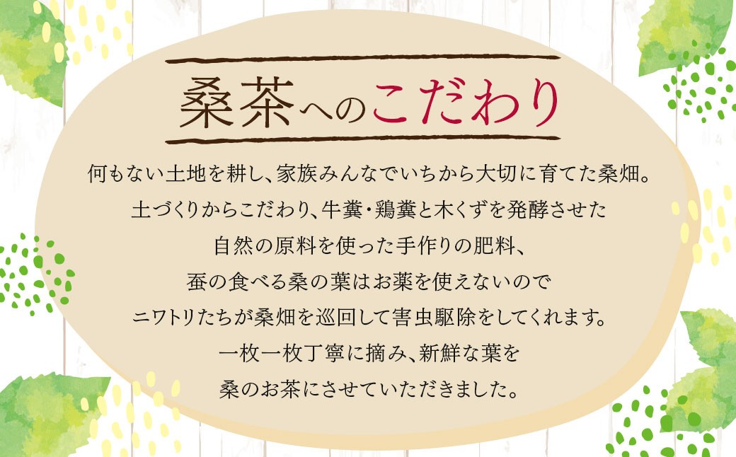 桑茶粉末 100g (50g×2P) 桑茶 粉末 健康茶 お茶 茶