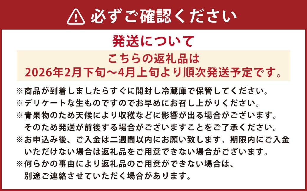 熊本産 ブラッドオレンジ 4キロ前後