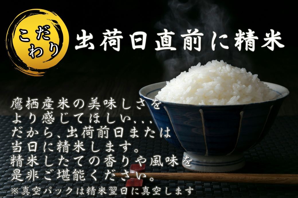 【6回定期便】 【令和7年産】 ゆめぴりか （真空・精白米） 5kg×6回
