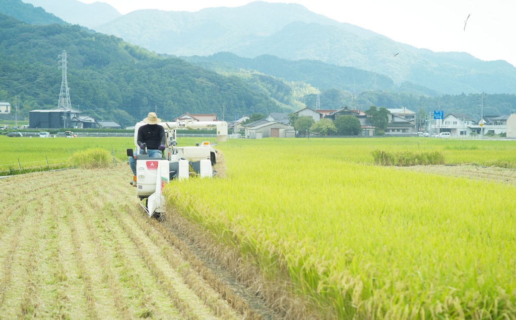福岡県 香春町 採銅所産 夢つくし 5kg 精米 白米 お米 HAN