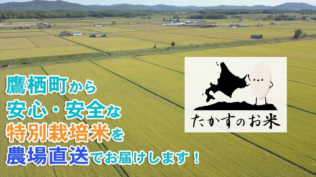 【6回定期便】 【令和7年産】 ゆめぴりか （真空・精白米） 10kg×6回