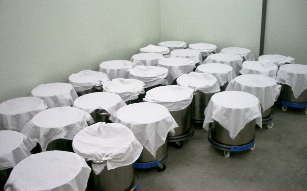 長崎角煮まぶし 15袋