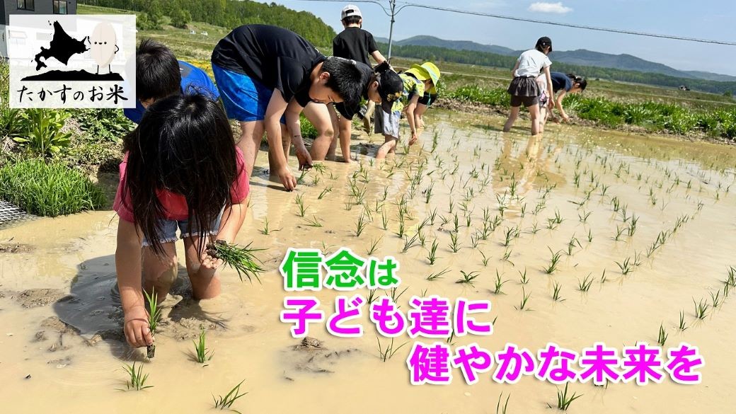 【 令和7年産 】 ゆめぴりか ( 精白米 ) 特Aランク 安心・安全の高みへ!栽培期間中農薬不使用 5kg