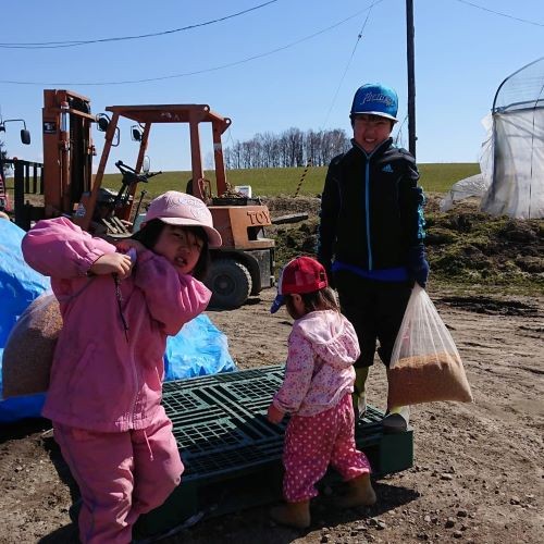 A239 【令和7年産】 ゆめぴりか （ 精白米 ） 栽培期間中農薬化学肥料不使用 5kg