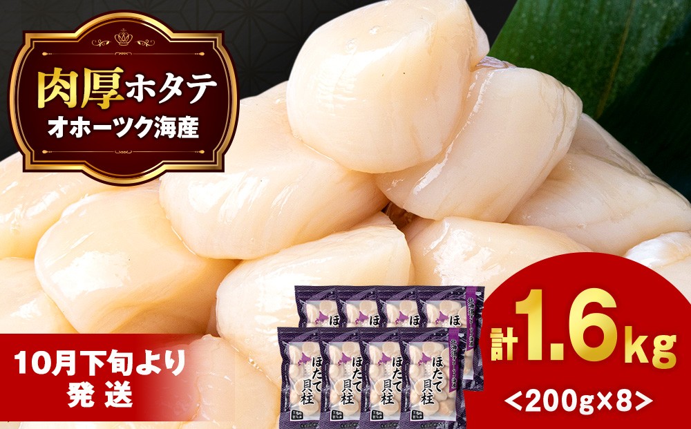 冷凍帆立貝柱200g(15粒前後)×8パック【20002】