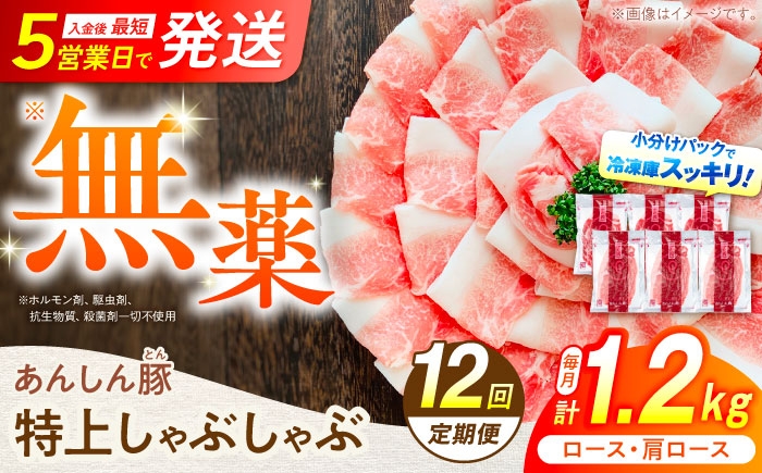 12回 定期便 あんしん豚 特上しゃぶしゃぶ セット 豚肉 ロース 国産 白川町 豚しゃぶ サラダ