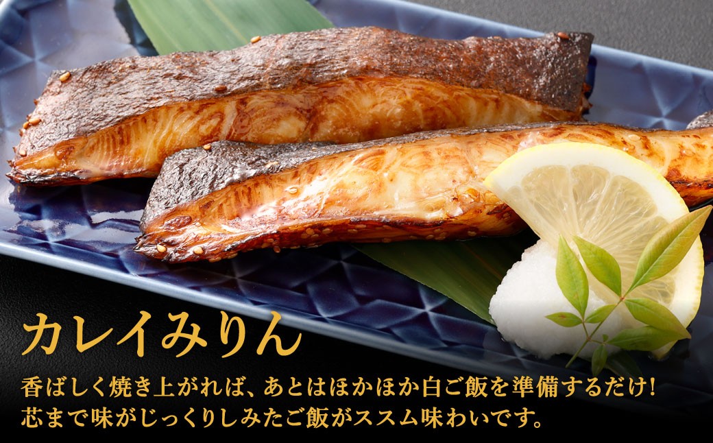 北九州 みりん干しセット 3種 計10切セット