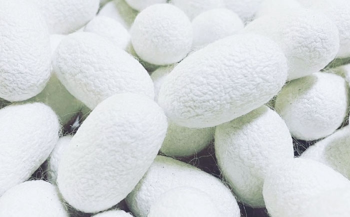 洗顔&全身用 石けん 石鹸 ソープ スキンケア フェイシャル ボディ 美容 基礎化粧品 洗顔 保湿 日用品 シルク 絹 しるく