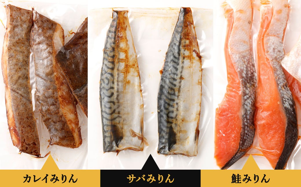 北九州 みりん干しセット 3種 計10切セット