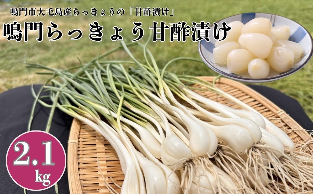 ※お届けの箱が変更しております。予めご了承ください。