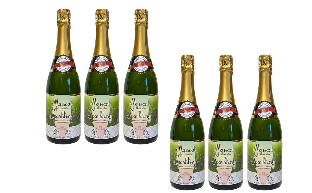 ふなおワイナリー マスカット・オブ・アレキサンドリア（スパークリングワイン） 750ml×6本