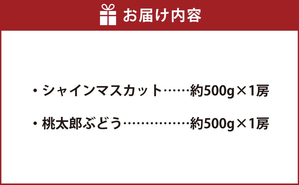 岡山県産シャインマスカット1房・桃太郎ぶどう1房