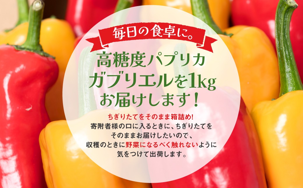 高糖度パプリカガブリエルを1kgお届けします！